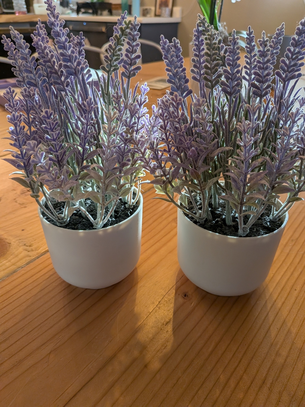 Target Lavender Faux Plant Pair in White Pots